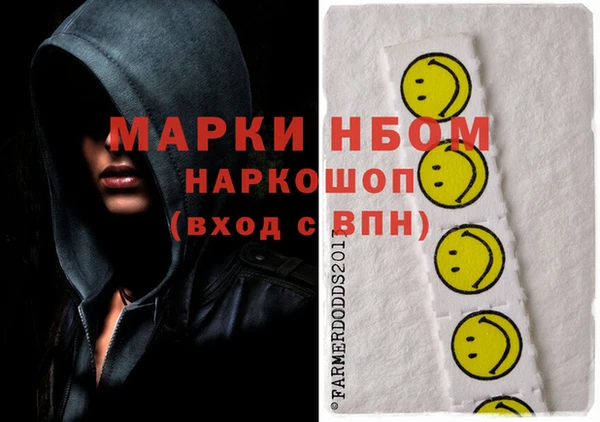гашик Кулебаки