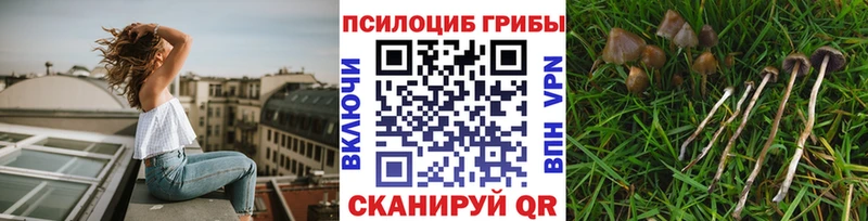 Галлюциногенные грибы мухоморы  Ленинск 